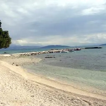 Palma Loncar *